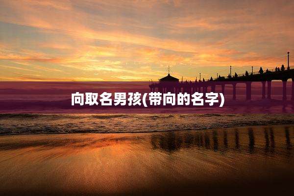 向取名男孩(带向的名字)