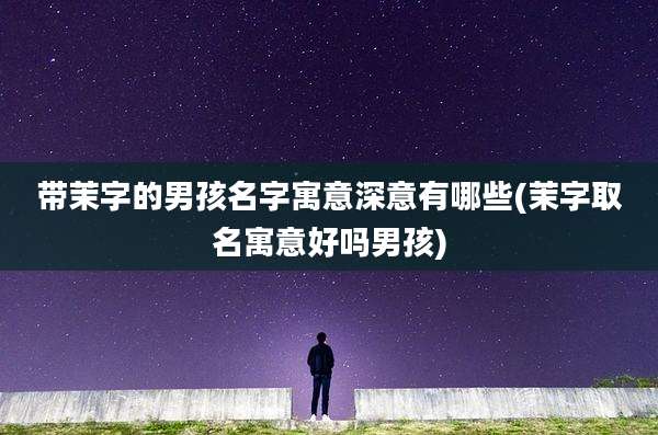 带茉字的男孩名字寓意深意有哪些(茉字取名寓意好吗男孩)