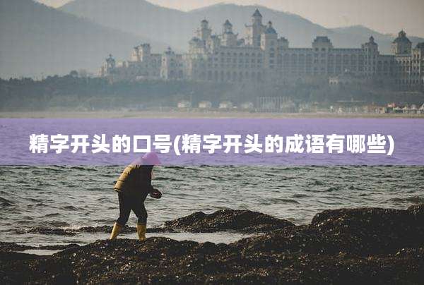 精字开头的口号(精字开头的成语有哪些)