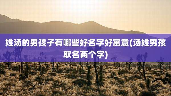 姓汤的男孩子有哪些好名字好寓意(汤姓男孩取名两个字)