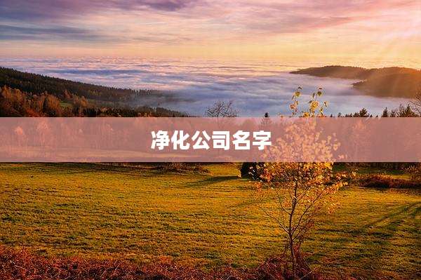 净化公司名字