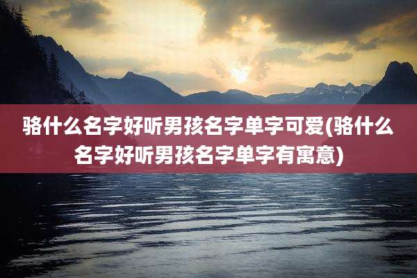 骆什么名字好听男孩名字单字可爱(骆什么名字好听男孩名字单字有寓意)
