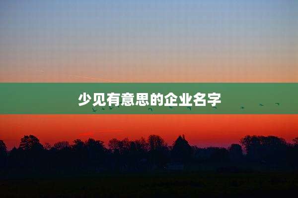 少见有意思的企业名字