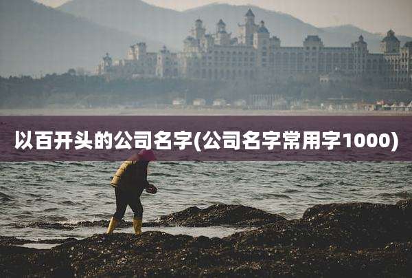 以百开头的公司名字(公司名字常用字1000)