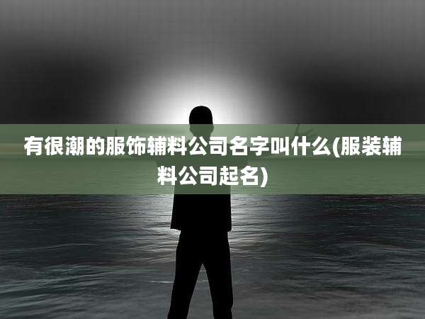有很潮的服饰辅料公司名字叫什么(服装辅料公司起名)