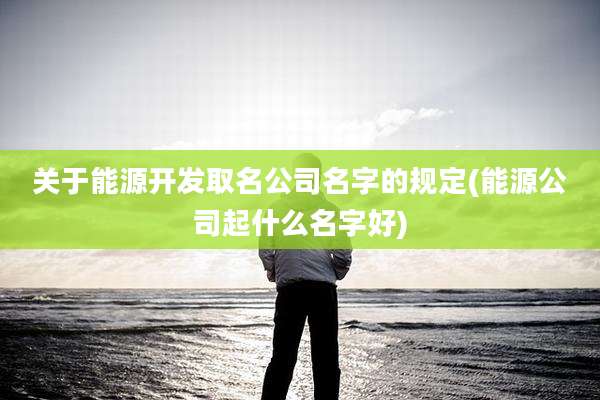 关于能源开发取名公司名字的规定(能源公司起什么名字好)