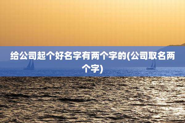 给公司起个好名字有两个字的(公司取名两个字)