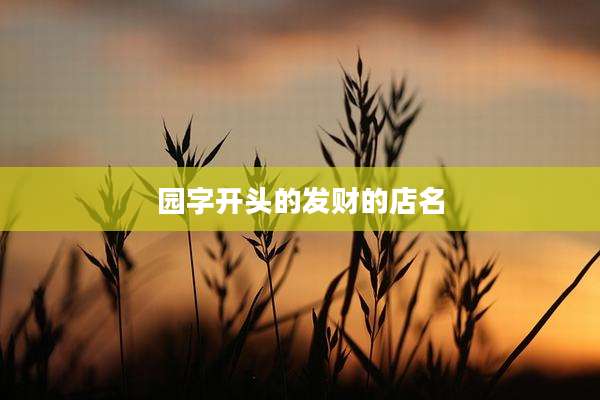园字开头的发财的店名