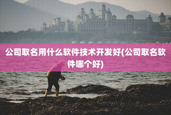 公司取名用什么软件技术开发好(公司取名软件哪个好)