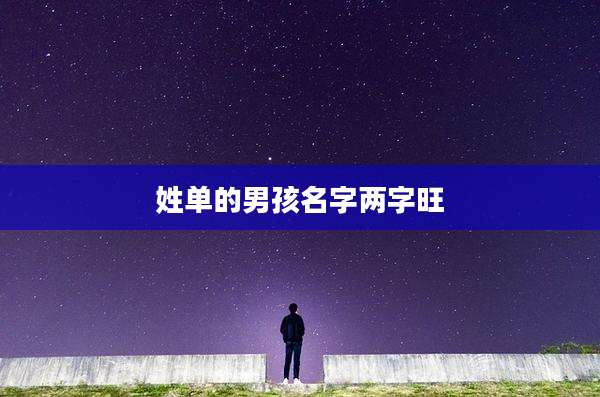 姓单的男孩名字两字旺