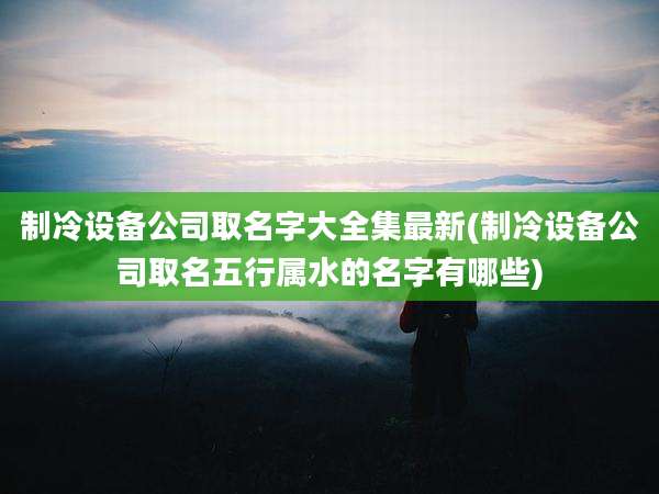 制冷设备公司取名字大全集最新(制冷设备公司取名五行属水的名字有哪些)