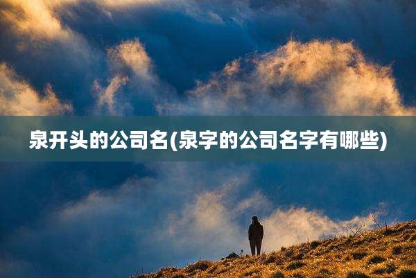泉开头的公司名(泉字的公司名字有哪些)