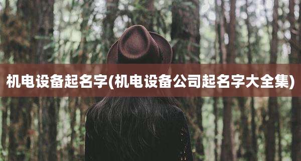 机电设备起名字(机电设备公司起名字大全集)