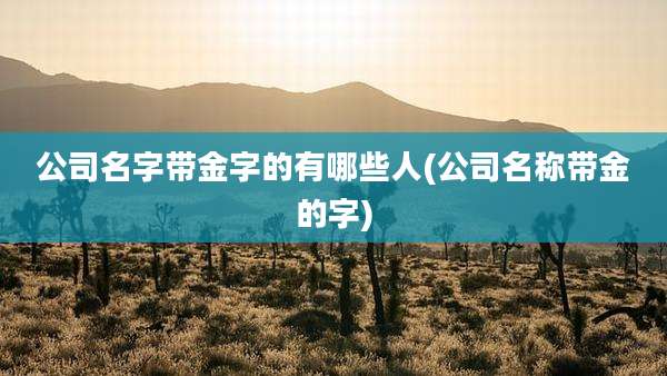 公司名字带金字的有哪些人(公司名称带金的字)