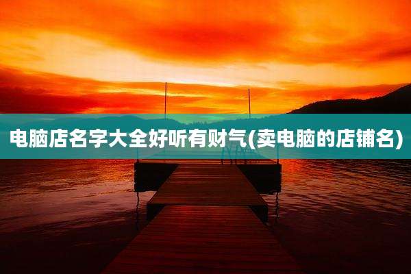 电脑店名字大全好听有财气(卖电脑的店铺名)