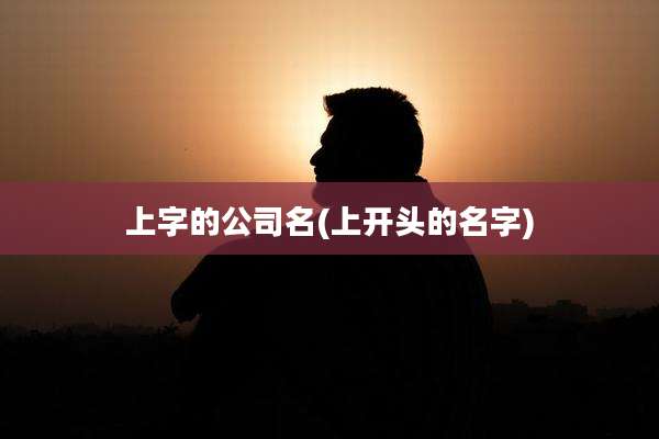 上字的公司名(上开头的名字)