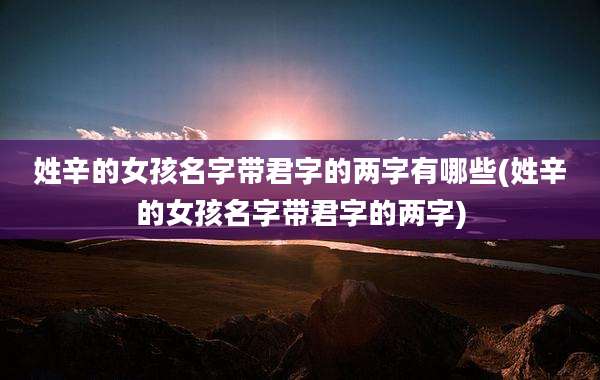 姓辛的女孩名字带君字的两字有哪些(姓辛的女孩名字带君字的两字)