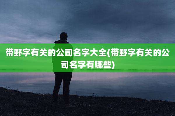 带野字有关的公司名字大全(带野字有关的公司名字有哪些)