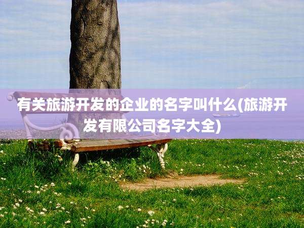 有关旅游开发的企业的名字叫什么(旅游开发有限公司名字大全)