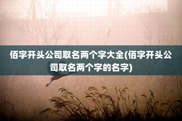 佰字开头公司取名两个字大全(佰字开头公司取名两个字的名字)