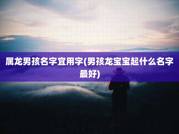属龙男孩名字宜用字(男孩龙宝宝起什么名字最好)