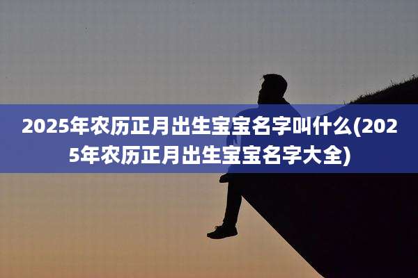 2025年农历正月出生宝宝名字叫什么(2025年农历正月出生宝宝名字大全)