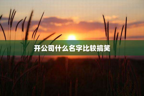 开公司什么名字比较搞笑