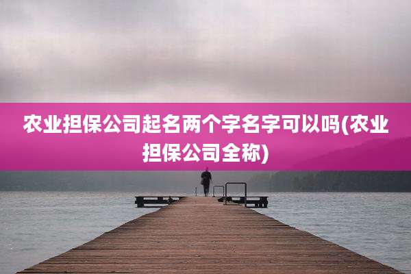 农业担保公司起名两个字名字可以吗(农业担保公司全称)