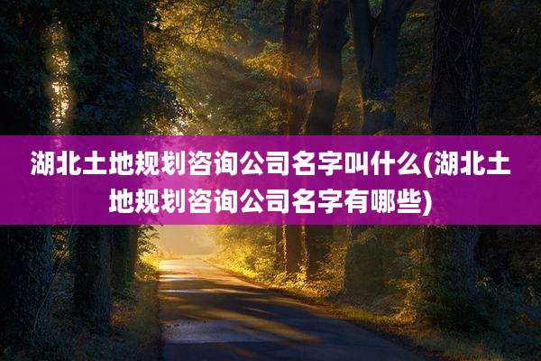 湖北土地规划咨询公司名字叫什么(湖北土地规划咨询公司名字有哪些)