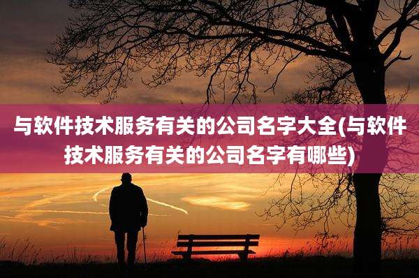 与软件技术服务有关的公司名字大全(与软件技术服务有关的公司名字有哪些)