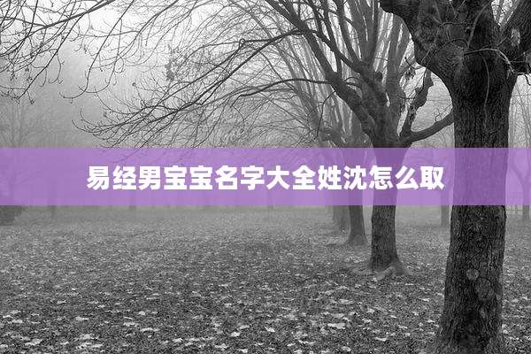 易经男宝宝名字大全姓沈怎么取