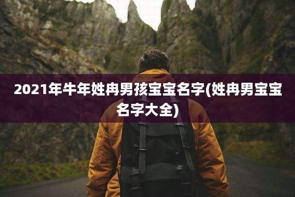 2021年牛年姓冉男孩宝宝名字(姓冉男宝宝名字大全)