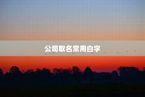 公司取名常用白字