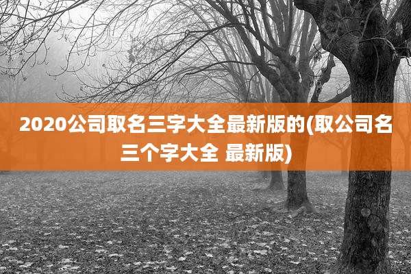 2020公司取名三字大全最新版的(取公司名三个字大全 最新版)