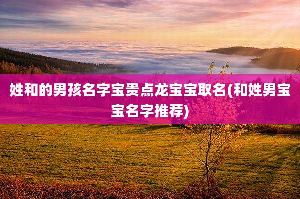 姓和的男孩名字宝贵点龙宝宝取名(和姓男宝宝名字推荐)