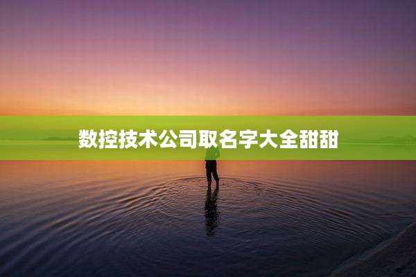 数控技术公司取名字大全甜甜