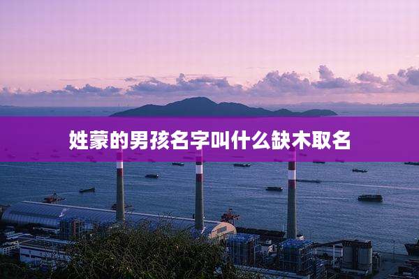 姓蒙的男孩名字叫什么缺木取名