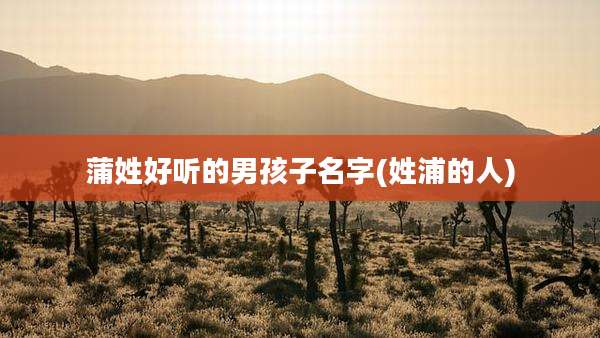 蒲姓好听的男孩子名字(姓浦的人)