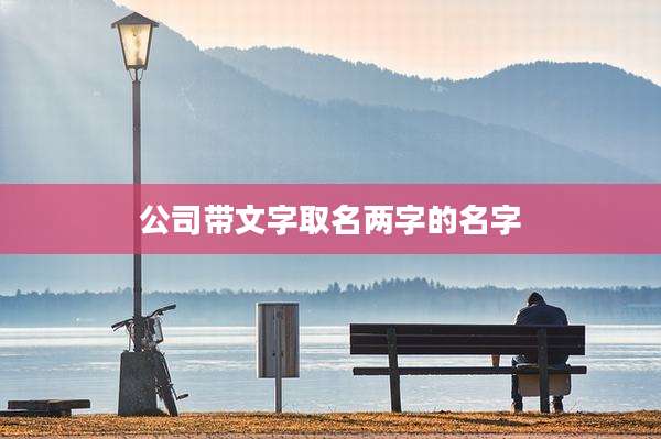 公司带文字取名两字的名字