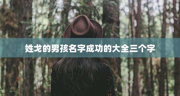 姓戈的男孩名字成功的大全三个字