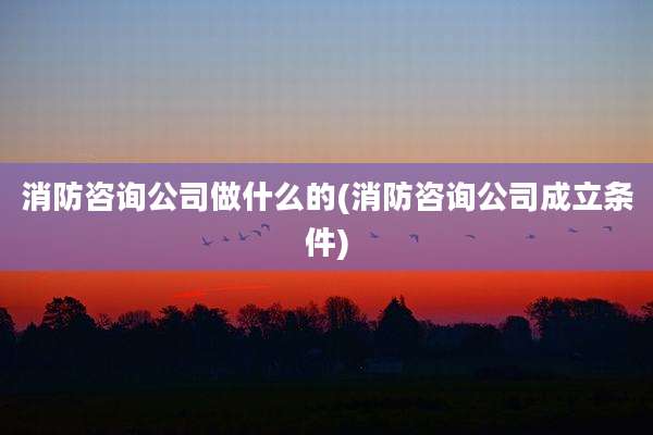 消防咨询公司做什么的(消防咨询公司成立条件)