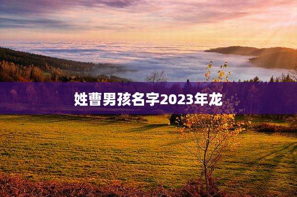 姓曹男孩名字2023年龙
