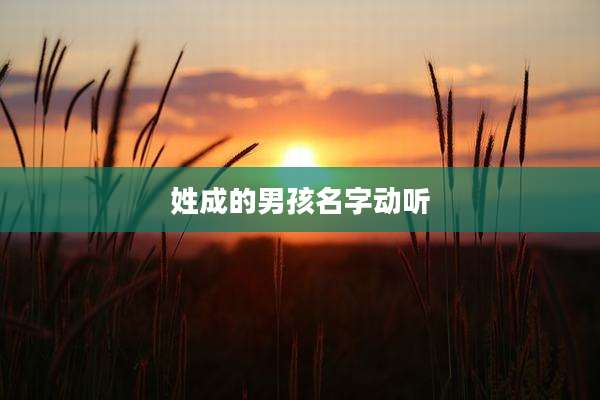 姓成的男孩名字动听