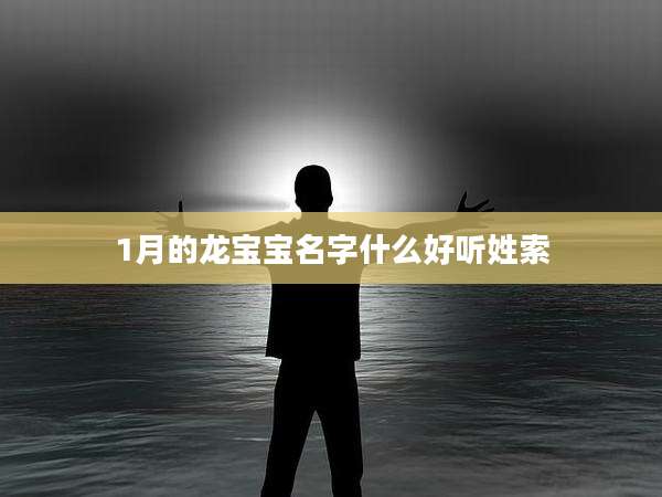 1月的龙宝宝名字什么好听姓索