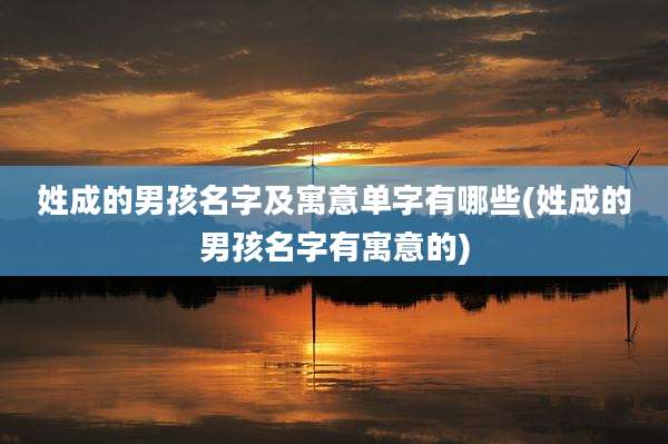 姓成的男孩名字及寓意单字有哪些(姓成的男孩名字有寓意的)