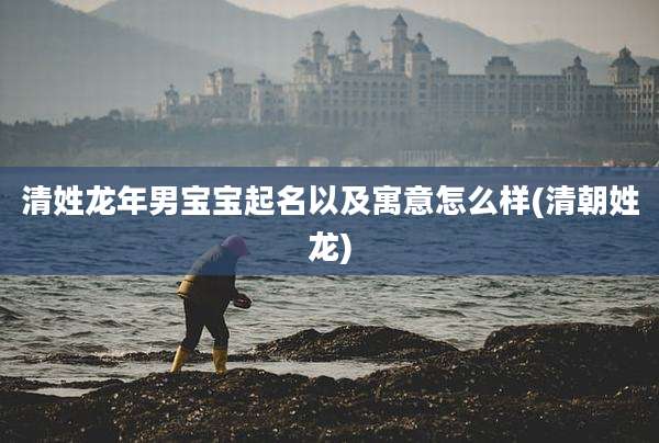 清姓龙年男宝宝起名以及寓意怎么样(清朝姓龙)
