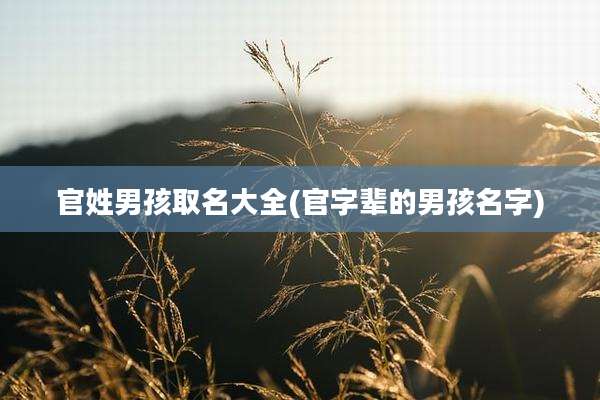 官姓男孩取名大全(官字辈的男孩名字)