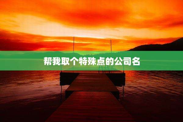 帮我取个特殊点的公司名