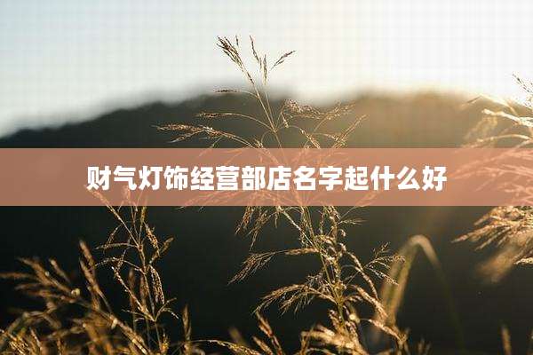 财气灯饰经营部店名字起什么好