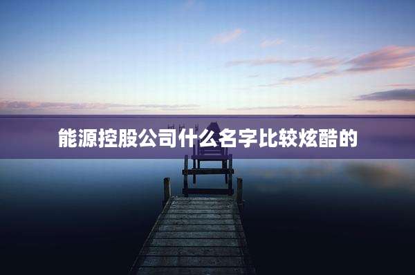 能源控股公司什么名字比较炫酷的